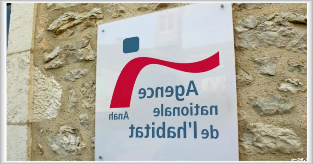 Sept hommes jugés pour fraude à MaPrimeRénov' : un préjudice estimé à 1,13 million d'euros