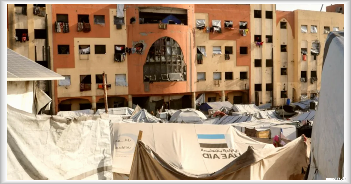 Sept morts palestiniens dans des frappes israéliennes sur Gaza, selon le Figaro