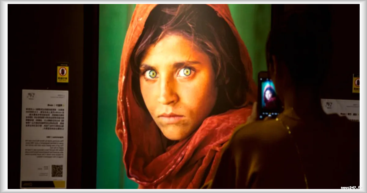 Sharbat Gula, l’icône afghane des années 1980, se reconstruit en Italie après l’exil