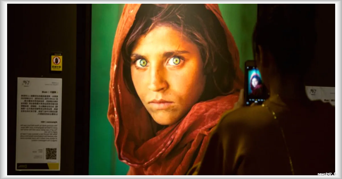 Sharbat Gula, l’icône afghane des années 1980, se reconstruit en Italie après l’exil