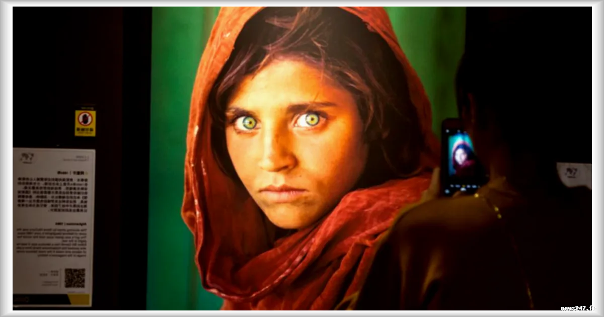Sharbat Gula, l’icône afghane des années 1980, se reconstruit en Italie après l’exil