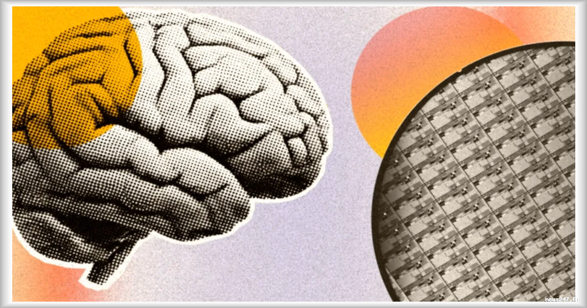 Singapour teste un système d'IA fonctionnant avec des neurones humains cultivés en laboratoire