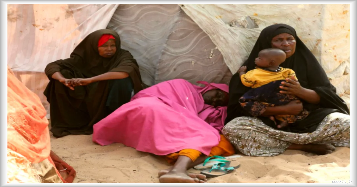 Somalie : la Croix-Rouge alerte sur le risque de famine imminent dû à la sécheresse persistante