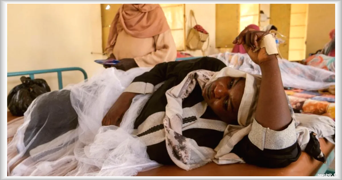 Soudan : 12 morts et 16 blesses dans une frappe de drone au Darfour