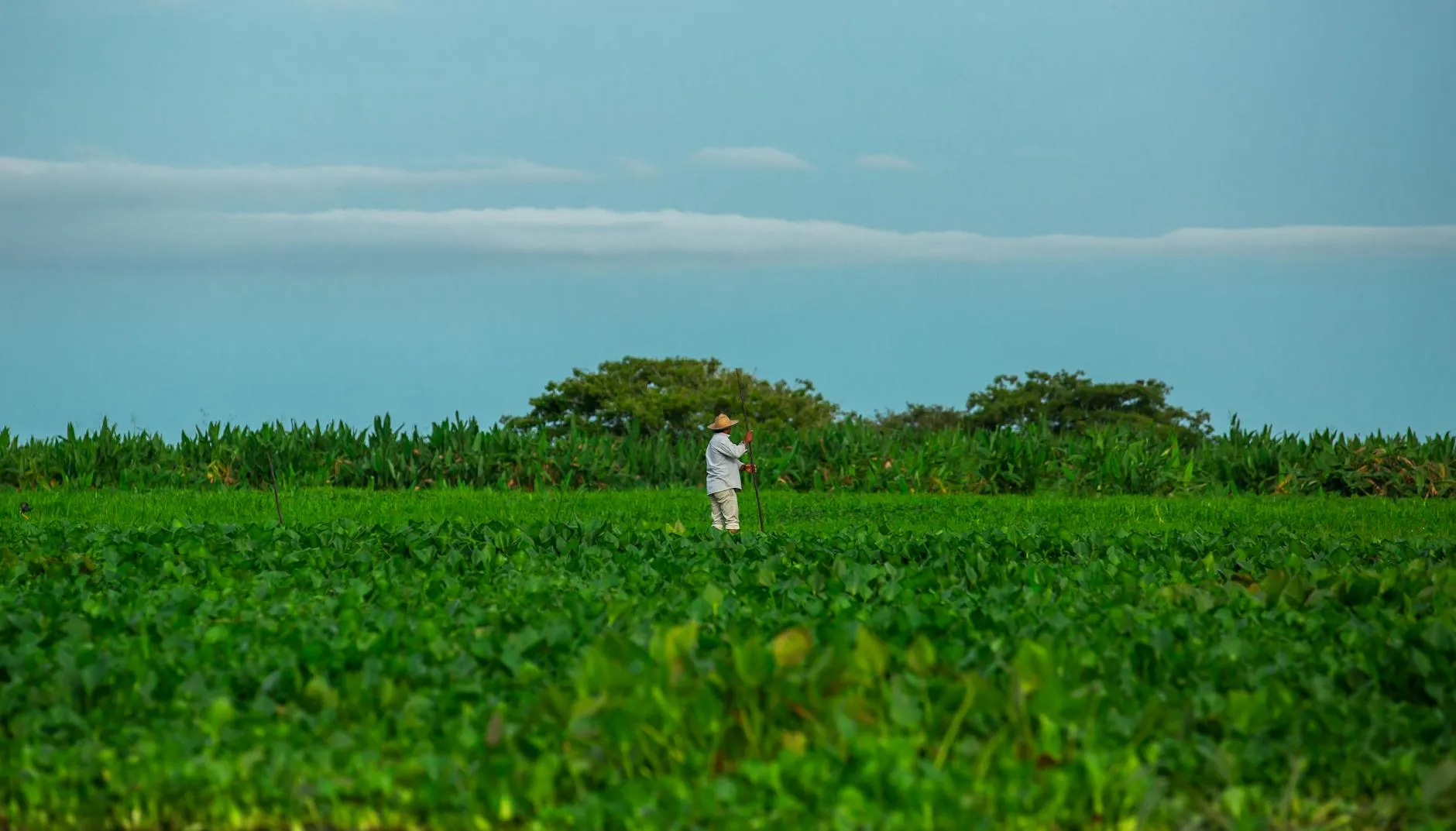 Soudan du Sud : Près de 286 000 déplacés entre janvier et fin mars 2026 selon l'ONU