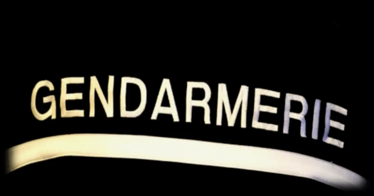 120 Gendarmes Mobilisés Contre l'Installation d'une Rave-Party Illégale en Lozère