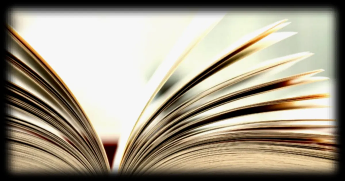 150 nouveaux mots du français contemporain intégrés au Petit Larousse illustré 2027