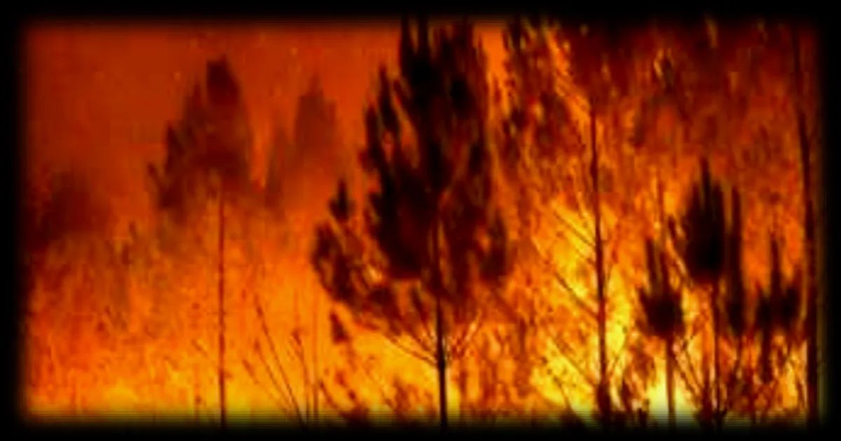 2 500 pompiers mobilisés pour combattre les incendies en Gironde