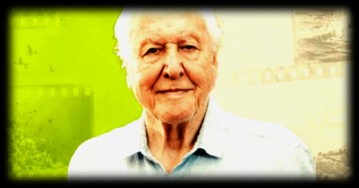 À 100 ans, David Attenborough, la voix emblématique du vivant, célèbre sept décennies de vulgarisation scientifique