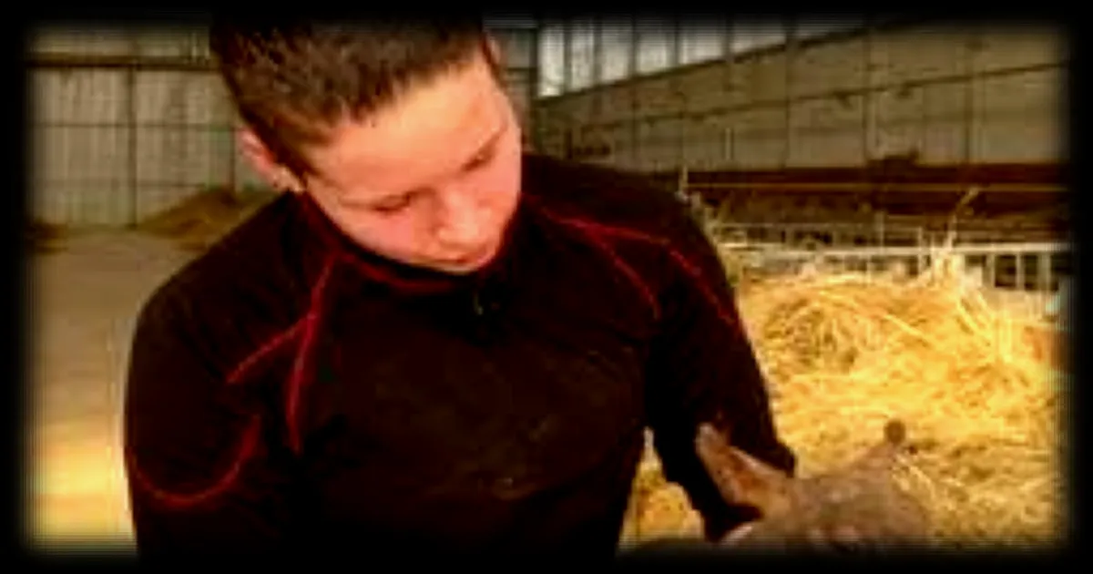 A 18 ans, Maïwenn se destine au métier de bergère et déjoue les préjugés