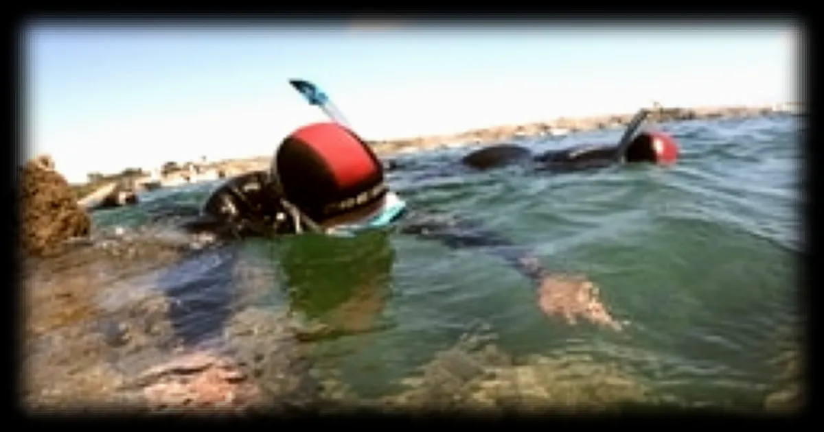 À l’île d’Yeu, une exploration sous-marine originale grâce au snorkeling proposé par le centre de plongée
