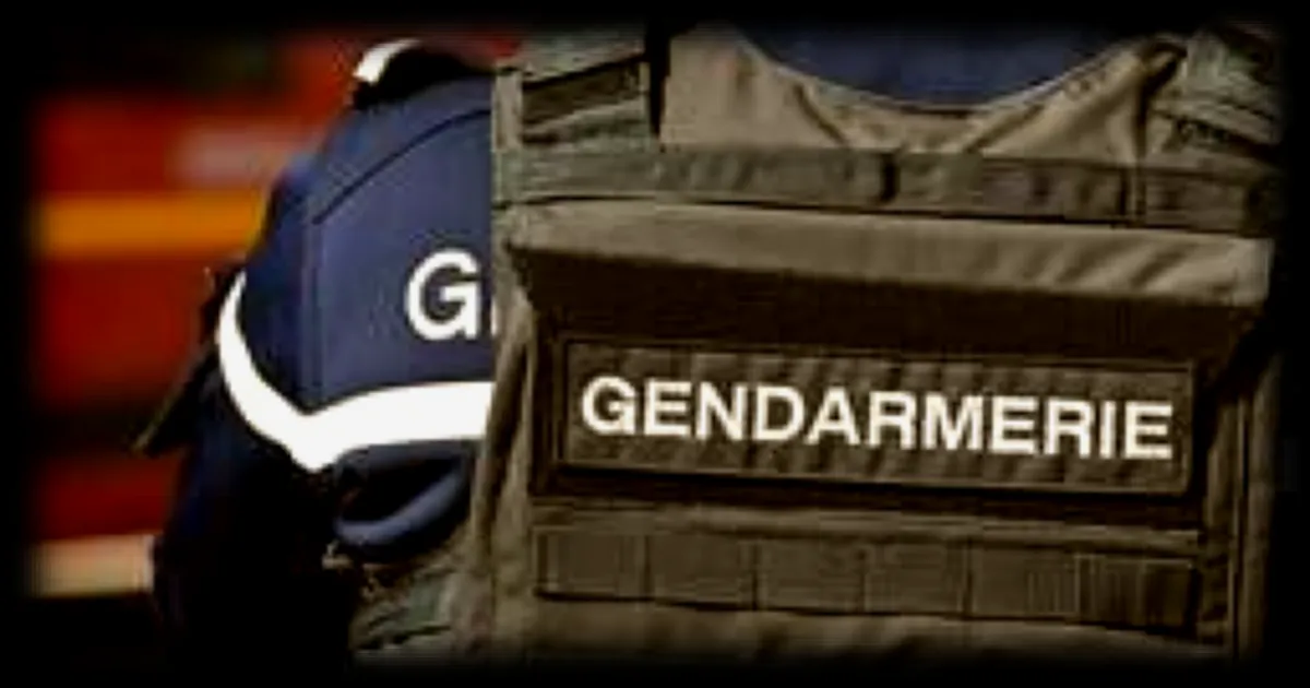 Accident contre un arbre en Anjou : conducteur alcoolisé placé en garde à vue, passager dans le coma