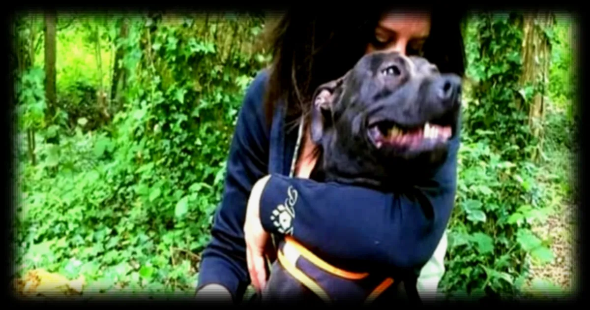 Affaire Elisa Pilarski: les expertises vétérinaires déterminantes pour identifier le coupable