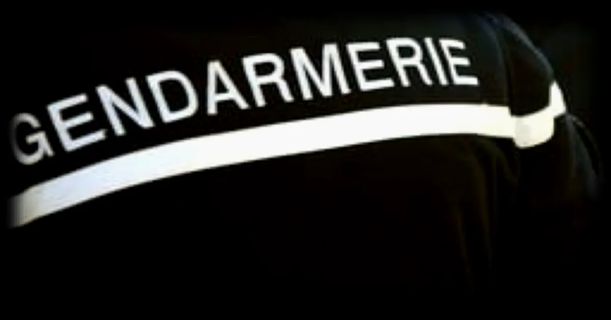Affrontement entre chiens devant une école des Deux-Sèvres : un chien errant tue un autre animal