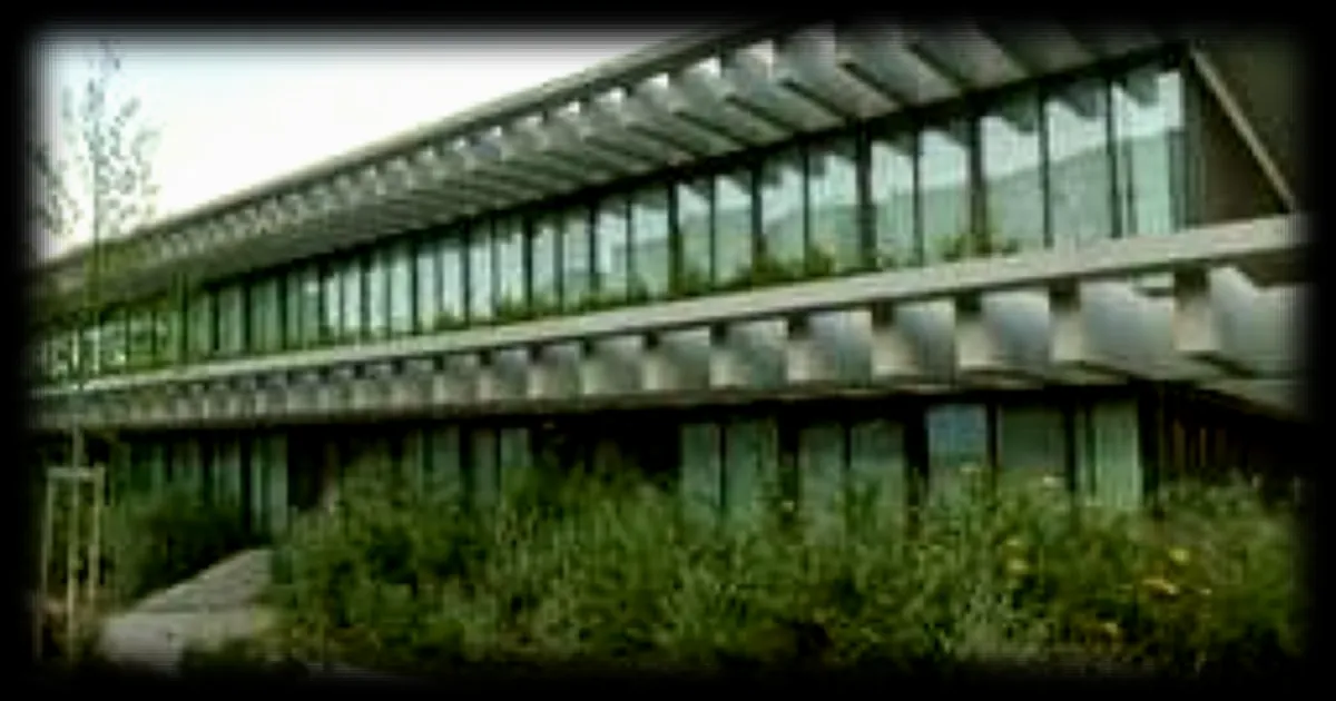 Agression d'une enseignante et d'une mère à Bordeaux : les faits et les réactions