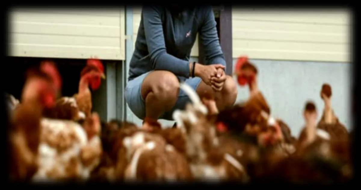 Agricultrices en première ligne : l’invisibilisation persistante d’un métier exigeant