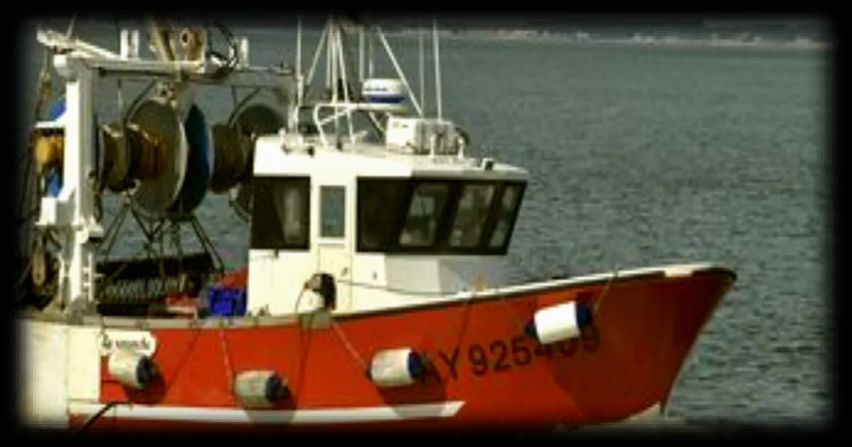 Aides aux carburants pour la pêche : une avancée importante selon le Comité national des pêches maritimes et des élevages marins
