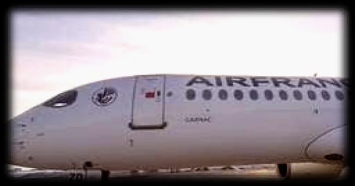 Airbus A220 baptisé 'Carnac' en hommage à la commune du Morbihan