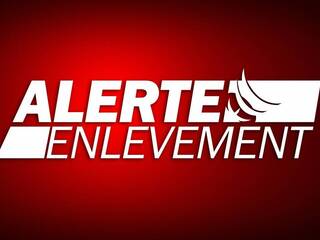 Alerte enlèvement pour trois enfants en Seine-Saint-Denis : les parents suspectés