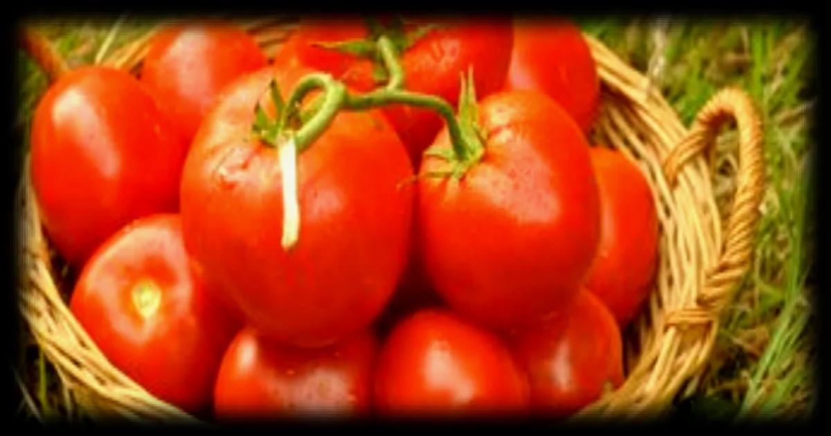 Aliments bio : la moitié moins de cadmium, une affirmation basée sur des études contrastées