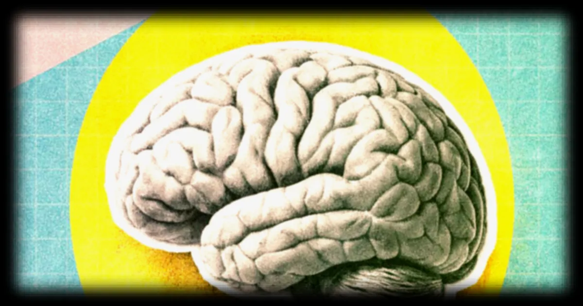 Alzheimer : votre taux de vitamine D à la quarantaine pourrait influencer votre cerveau des années plus tard