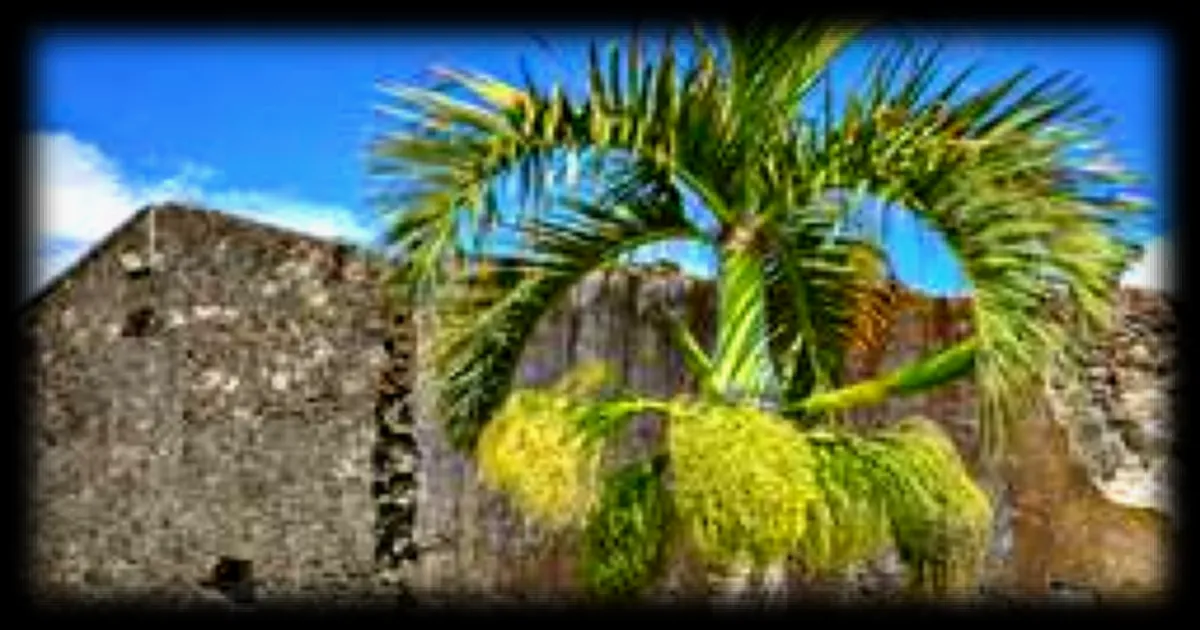 Ancienne sucrerie de La Réunion : un musée dédié à son patrimoine industriel grâce au Loto du patrimoine