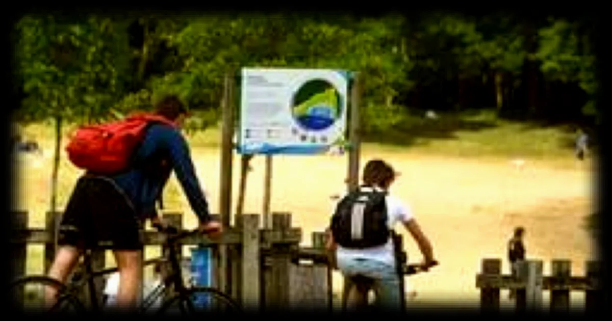 Angers fête l’Europe en mai 2026 : gastronomie, sport et musique au programme