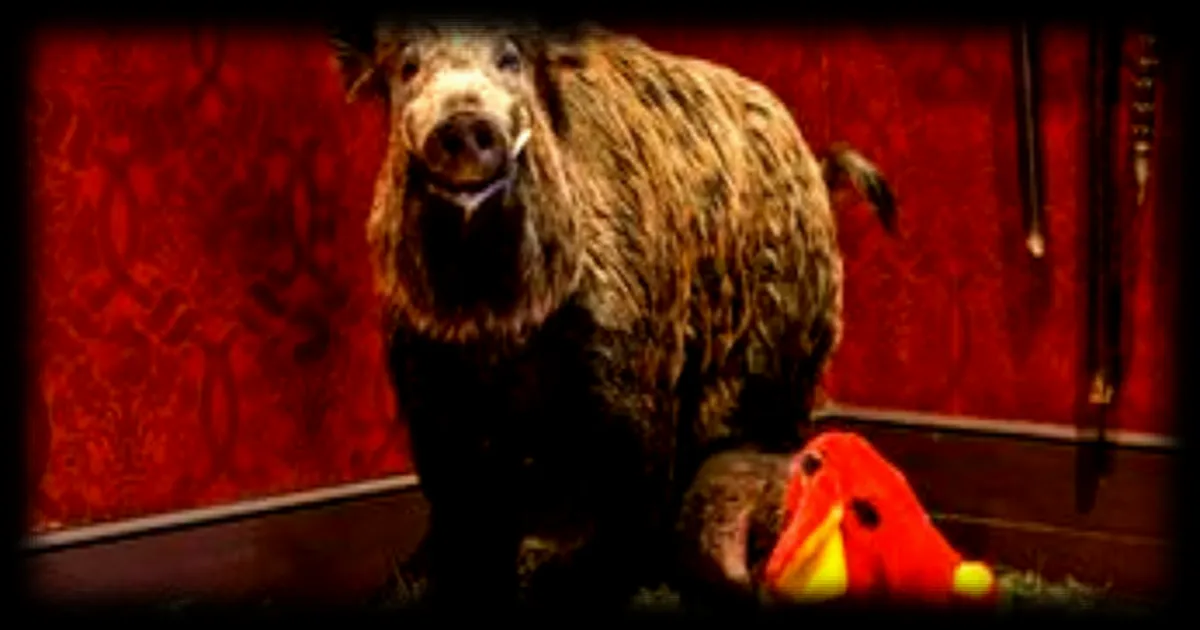 Annette Messager expose son bestiaire intrigant et poétique au musée de la Chasse et de la Nature de Paris