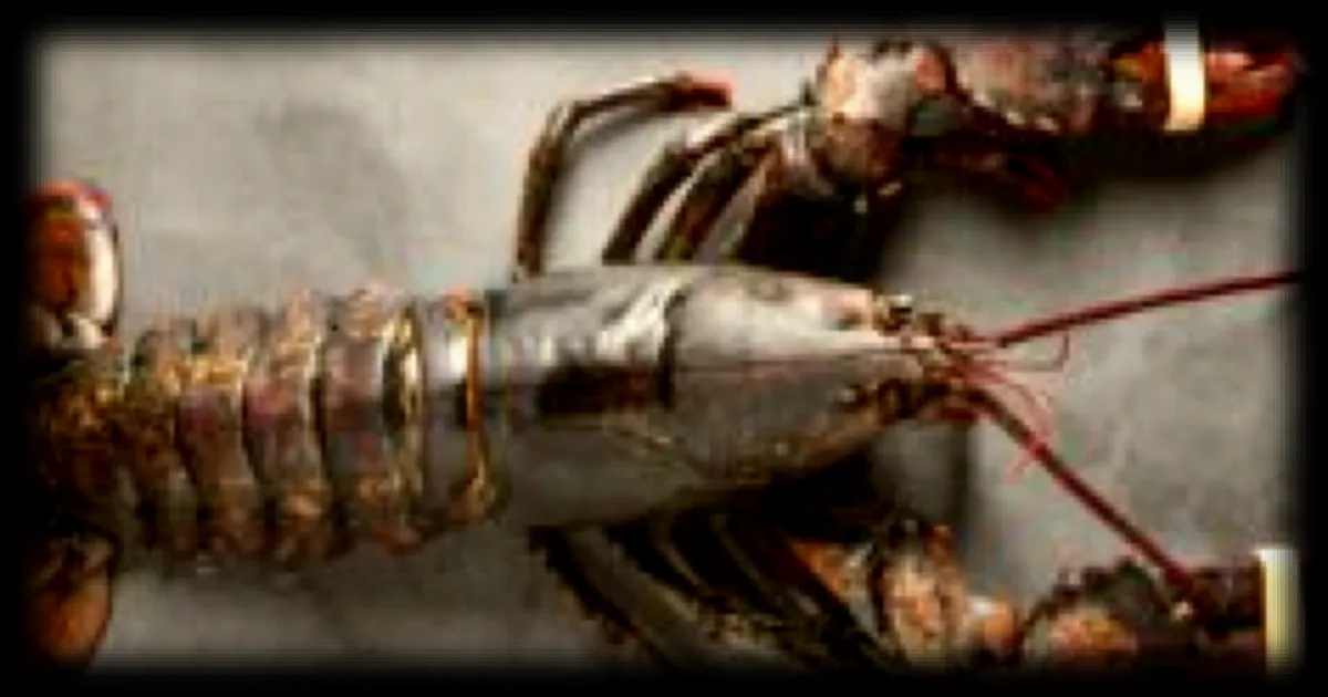 Anthropic met fin à l'accès forfaitaire pour les outils tiers sur Claude, OpenClaw concerné