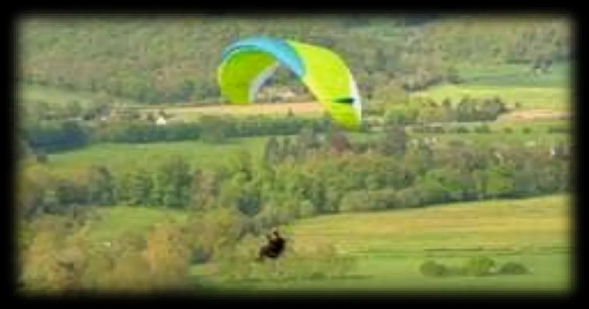 Ardennes : une parapentiste reste coincée dans un arbre pendant des heures à 20 mètres de hauteur