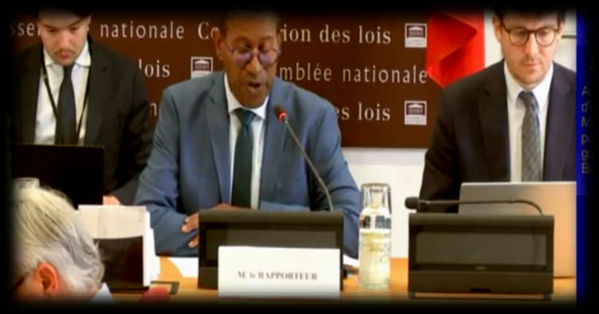 Assemblée nationale : une proposition de loi pour abroger formellement le « Code noir »