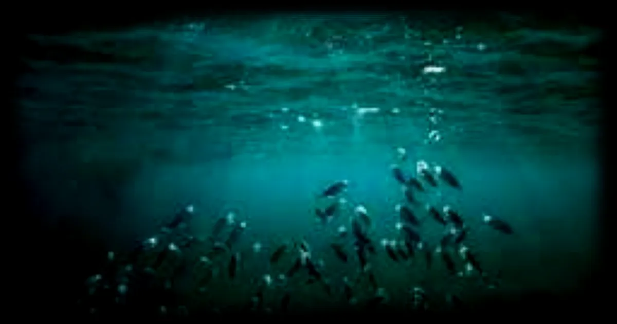 Assombrissement des océans : plus de 20 % de la surface maritime mondiale concernée en vingt ans