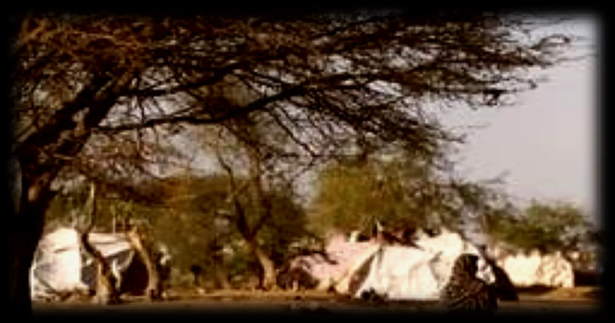 Attaque de drone au Tchad : 15 morts causés par une attaque provenant du Soudan