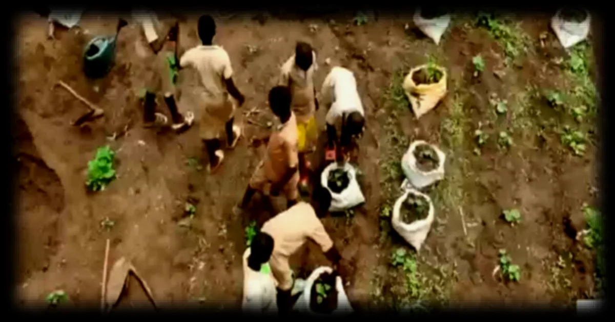 Au Bénin, des potagers scolaires se développent dans l’Atacora pour lutter contre les effets du changement climatique