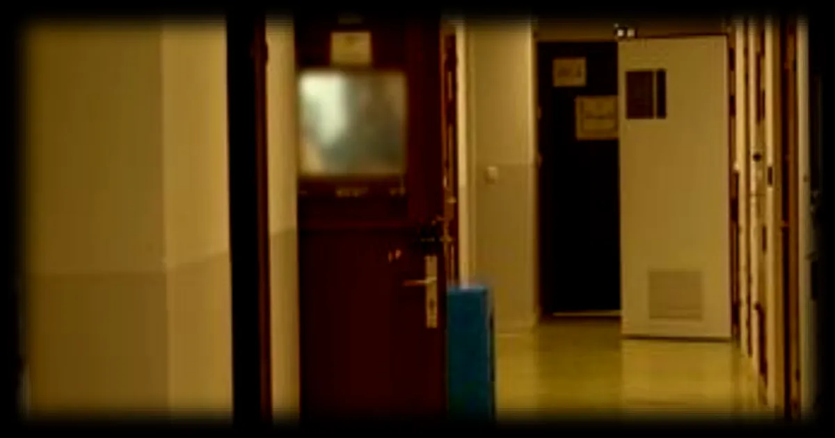 Au cœur de l’unité psychiatrique de la police : quand sécurité et santé mentale se rencontrent