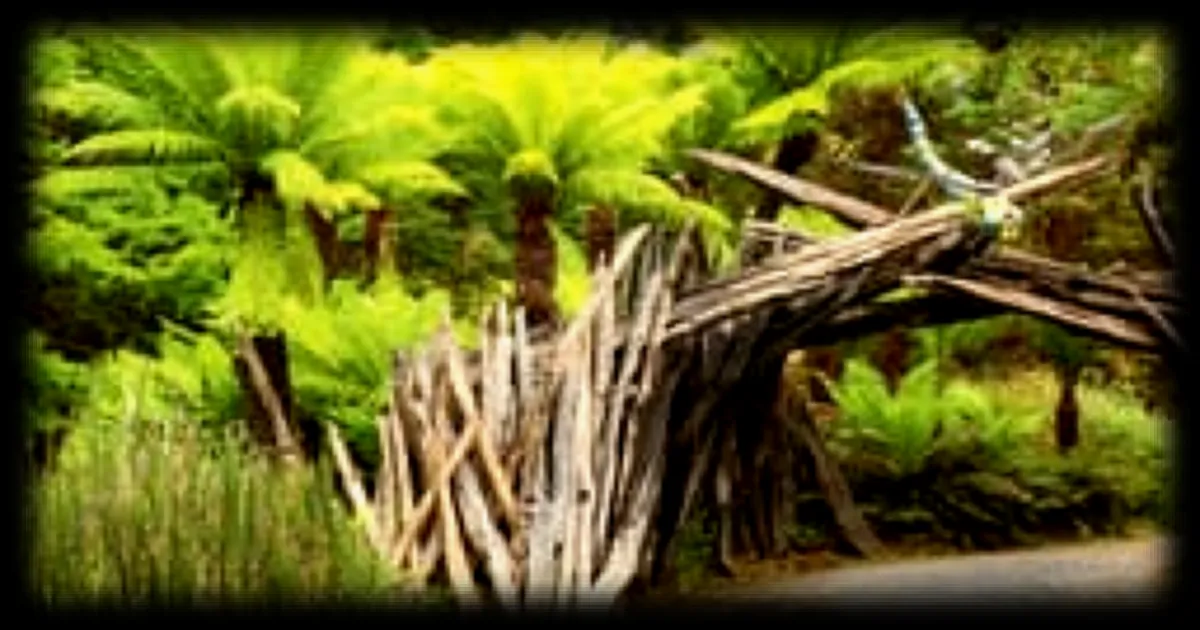 Au cœur du parc Terra Botanica, un jardin paléobotanique fait revivre les végétaux d'il y a 300 millions d'années