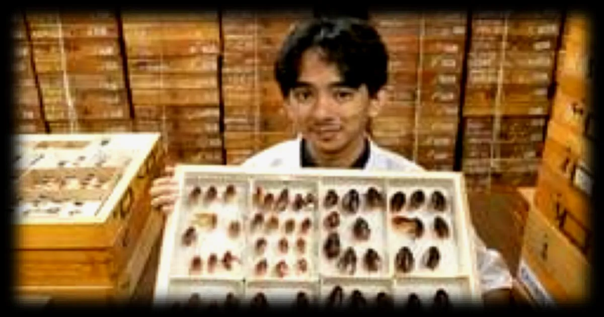 Aux Philippines, un entomologiste passionne par les cafards défend ces insectes mal-aimés