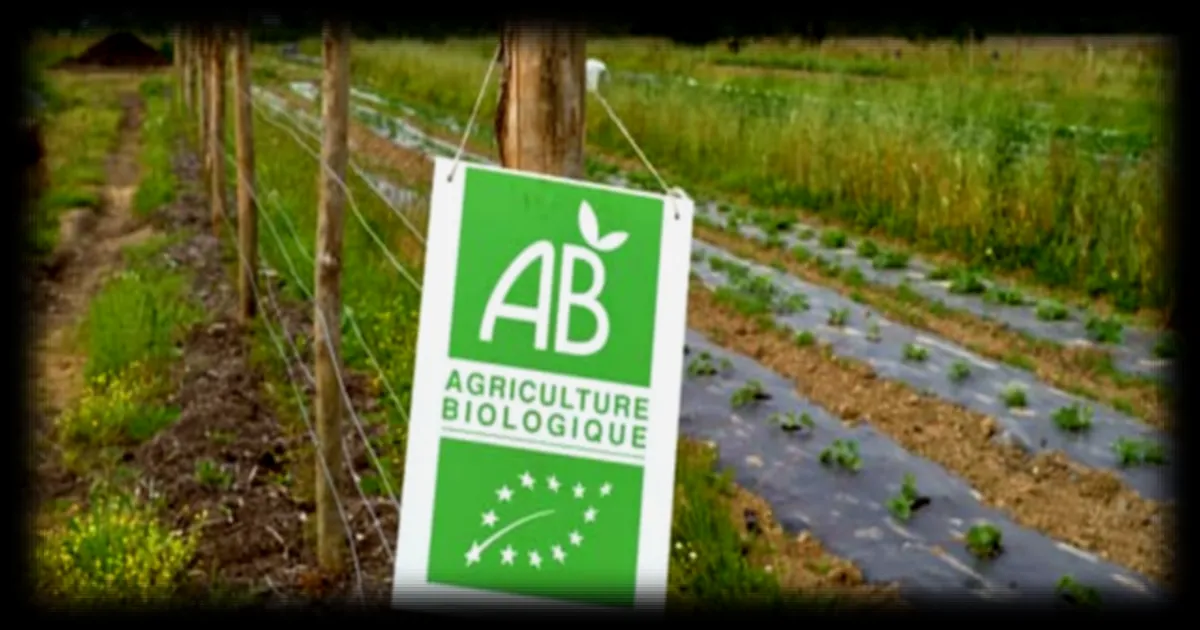 Baisse du nombre de fermes bio en France en 2025 malgre la reprise de la consommation