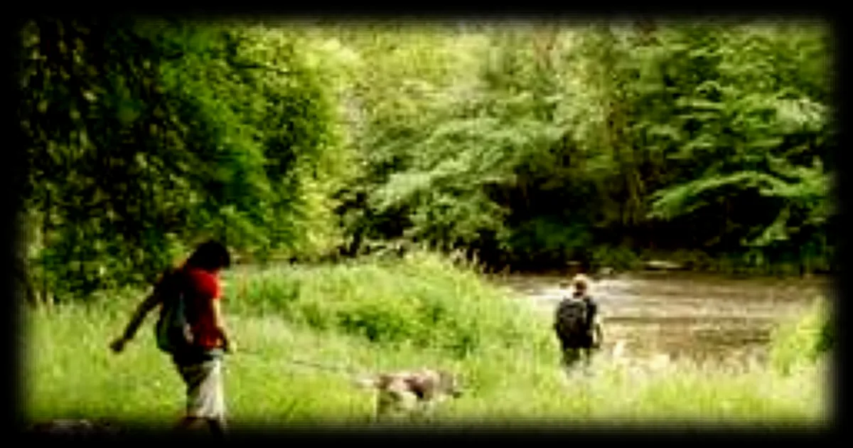 Balade insolite en Normandie : promenade tractée par un husky de Sibérie