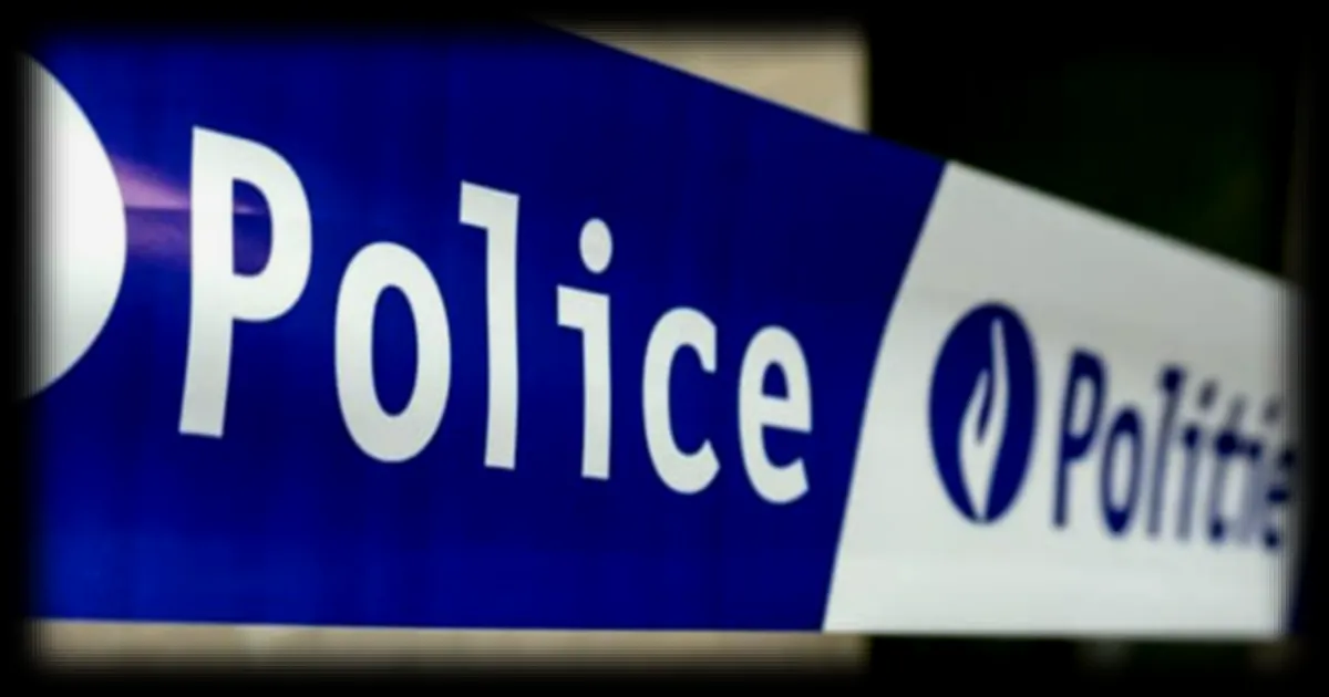 Belgique : condamnation à 10 ans de prison pour le "Pelicot Flamand" accusé de viols et d'images pédopornographiques