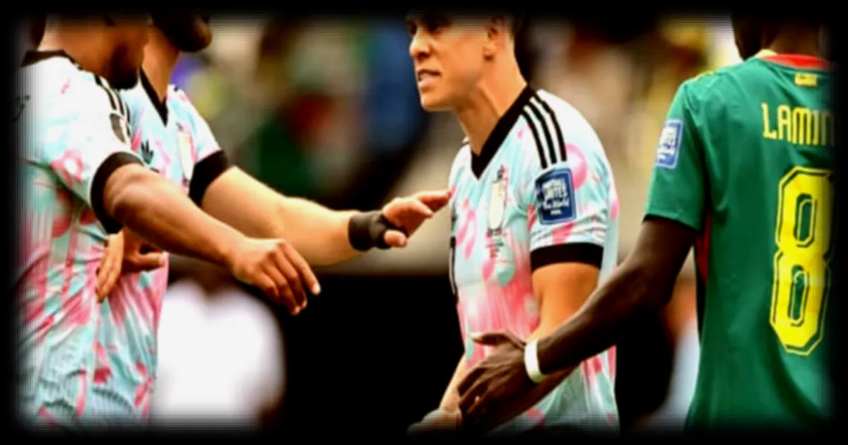 Belgique-Sénégal : l'altercation entre Trossard et Tielemans pendant la pause fraîcheur