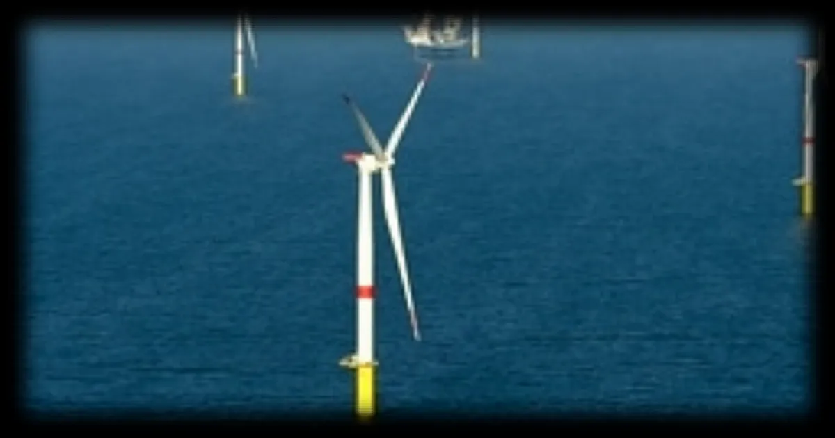 Biodiversité en danger : dix pressions majeures liées à l'éolien en mer révélées par un collectif scientifique