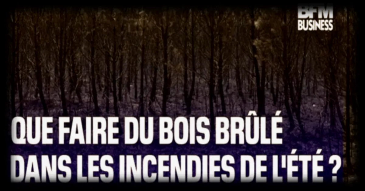 Bois calciné par les incendies estivaux : que faire de ce matériau abîmé ?