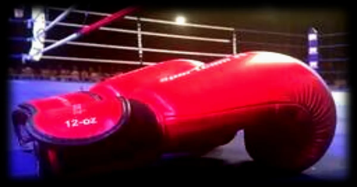 Boxe : Isis Logerie, championne de France des super-plumes après un combat serré