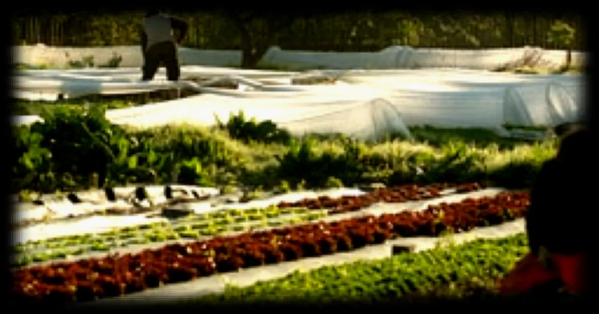 « Bretons en Cuisine » mise sur le retour aux sources cet été avec une sélection de producteurs locaux