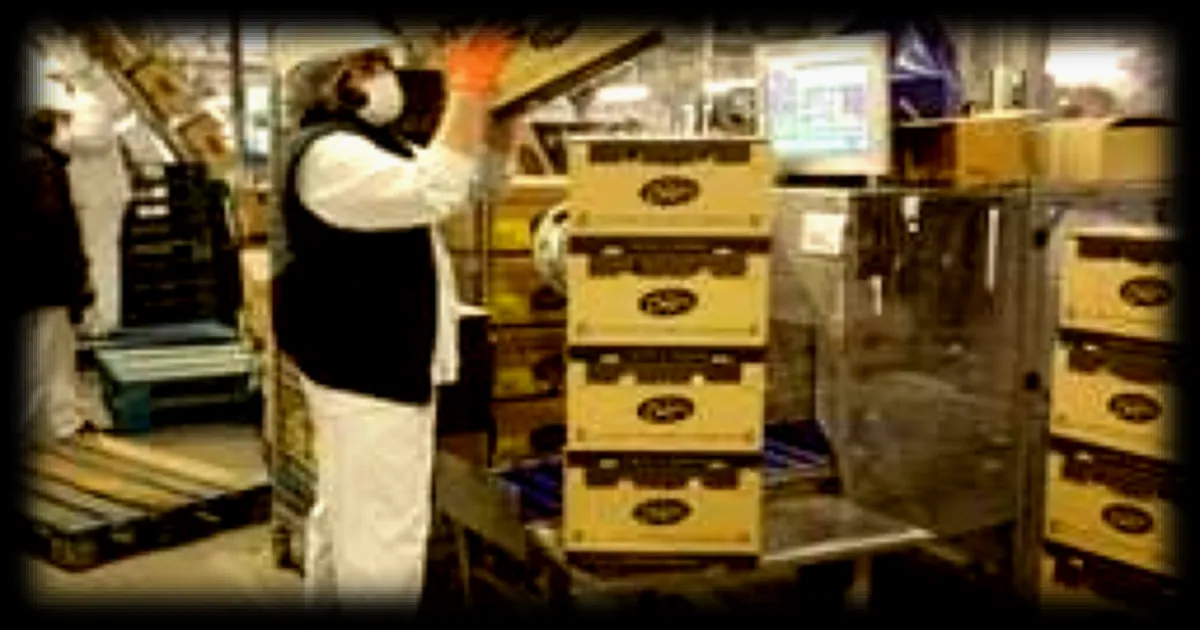 Bret's lance une gamme de chips sucrées, citron, fruits rouges et caramel au beurre salé au menu