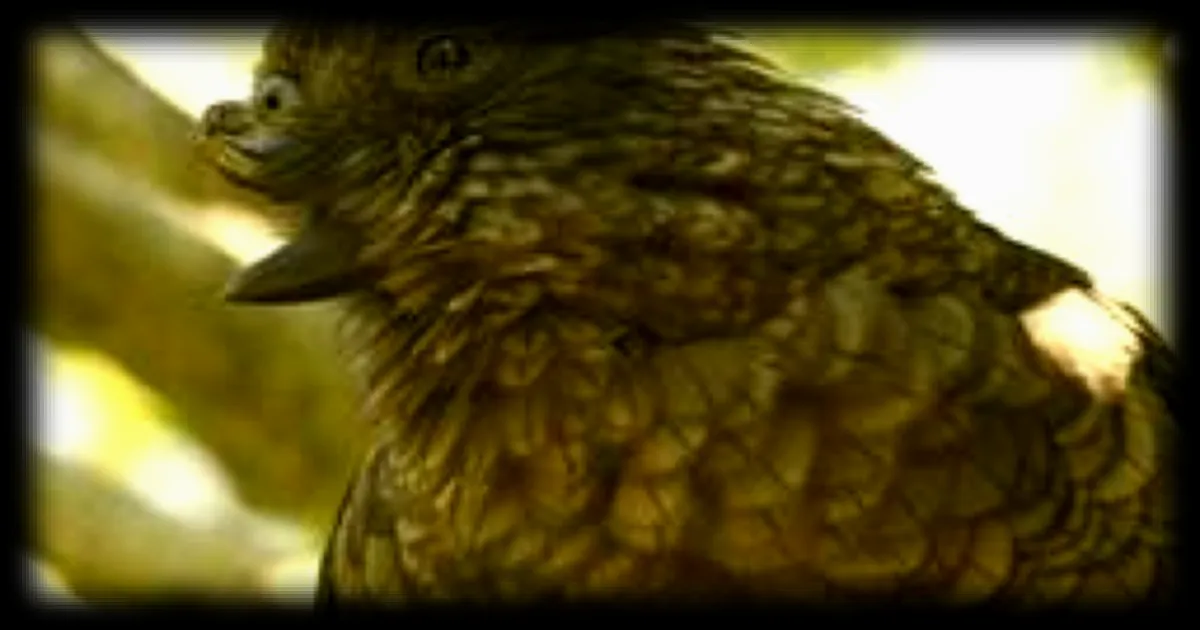 Bruce, le perroquet qui a remporte 36 combats sans subir de defaite malgre son handicap