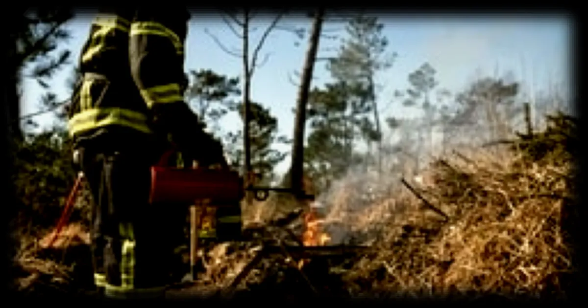Budget des sapeurs-pompiers : l’État joue-t-il avec le feu selon les premiers concernés ?