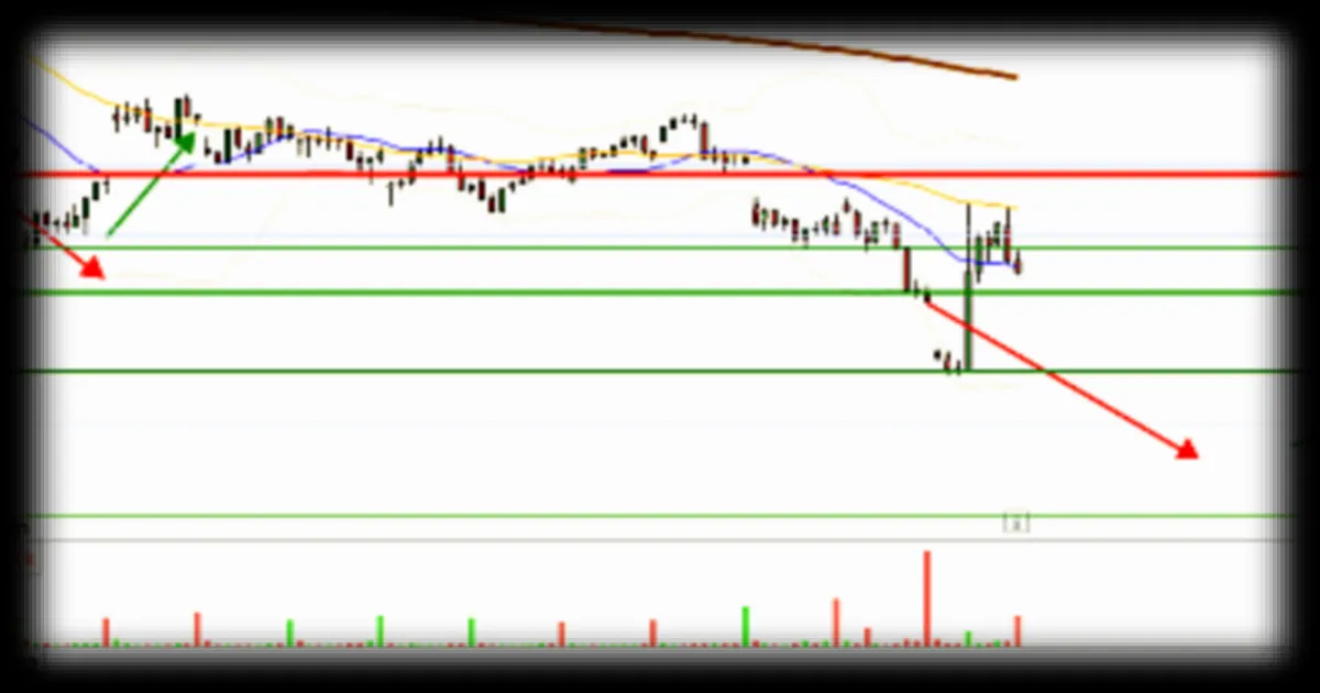 CAC 40 : les effets d'un tweet de Donald Trump sur les marchés financiers