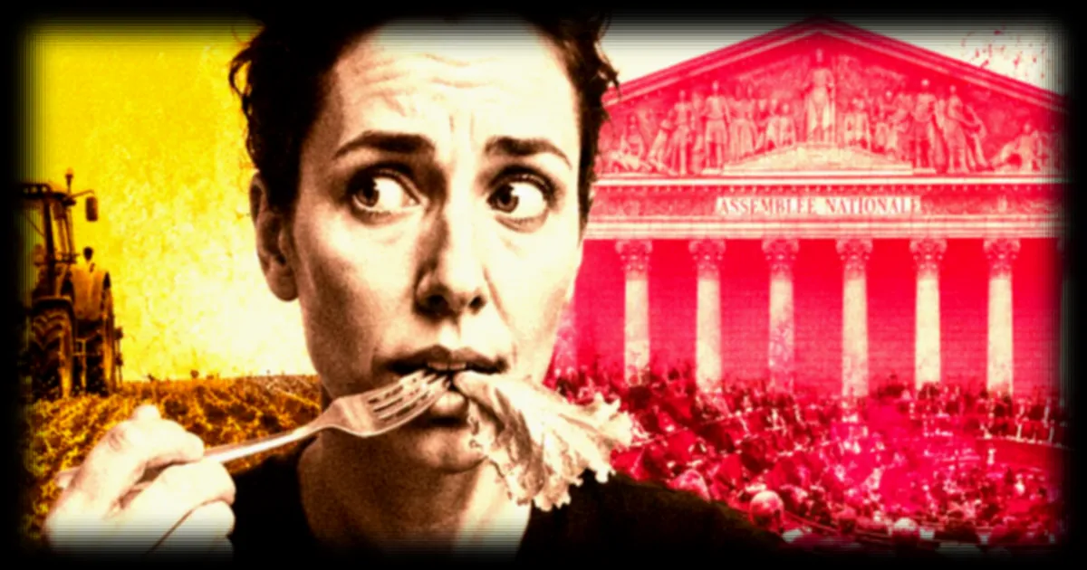Cadmium dans les engrais : l’Assemblée nationale adopte un durcissement des règles malgré l’opposition du gouvernement